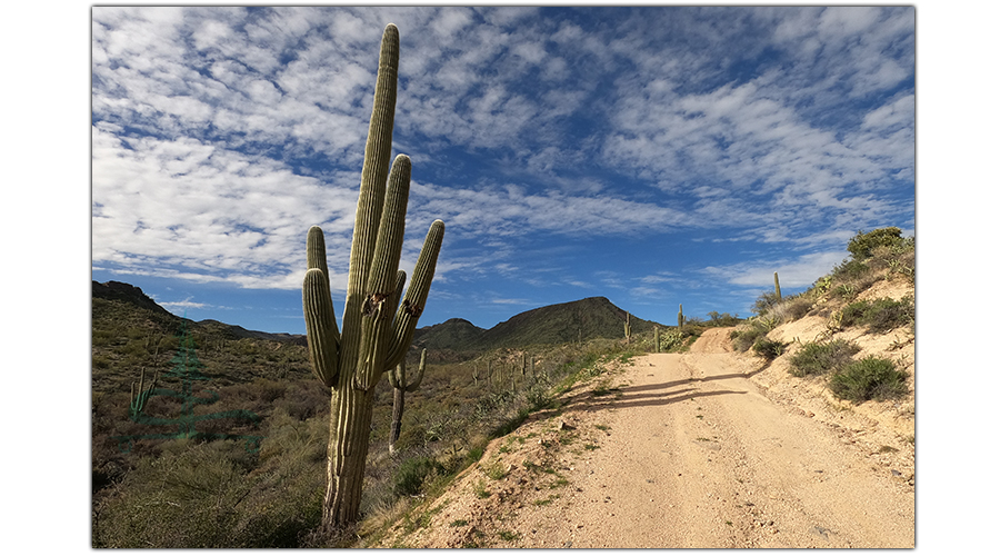 dirt road nearby while camping near sycamore creek