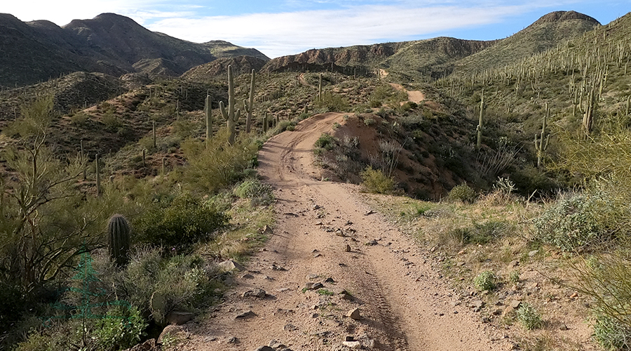 crazy dirt road through gorgeous desert scenery
