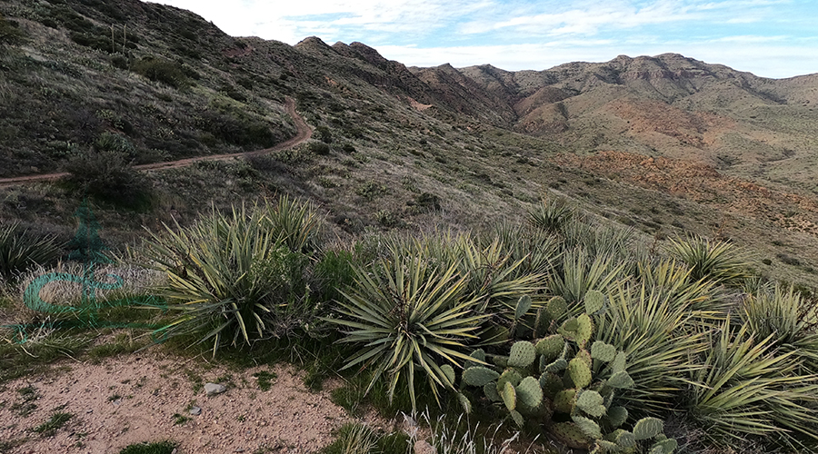 dirt road along the desert mountainside