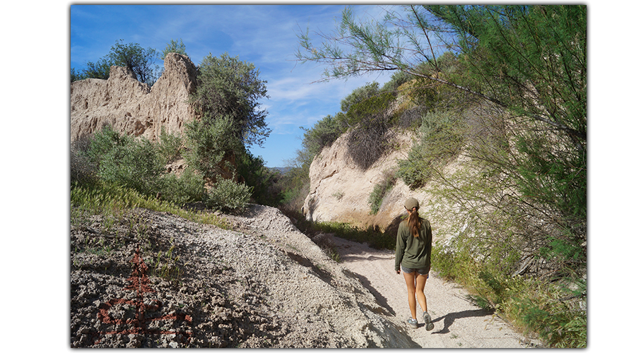 exploring the area while camping near camp verde