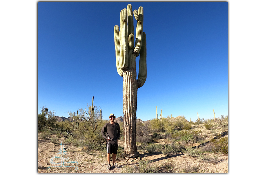 exploring the area while camping near phoenix in sonoran desert national monument