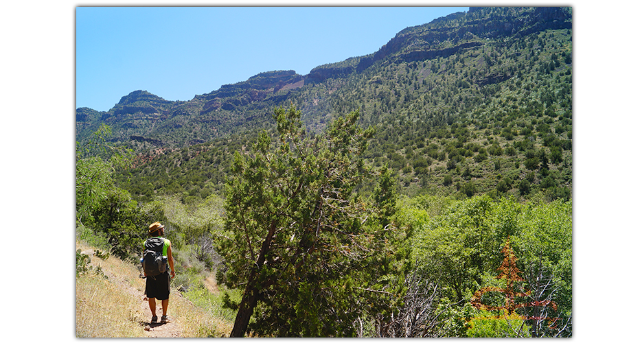 hiking above the creek