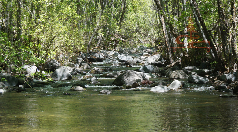 rock hopping opportunity