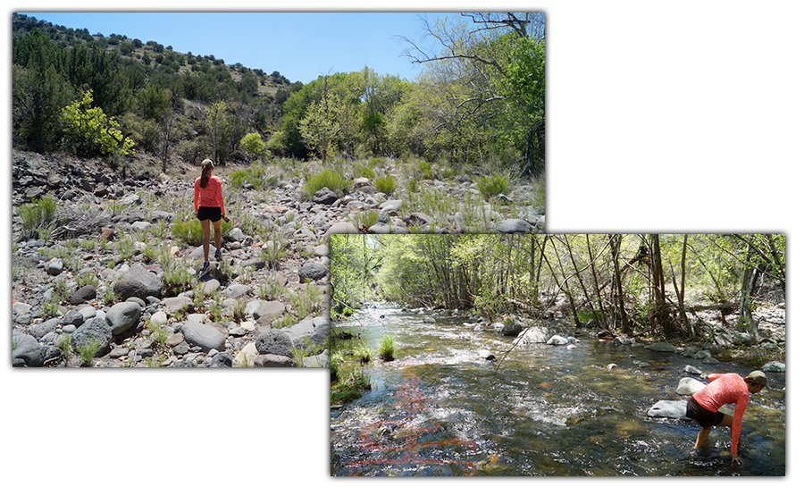 rocky trail and river crossing