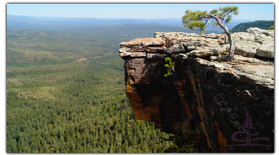 view from the rim