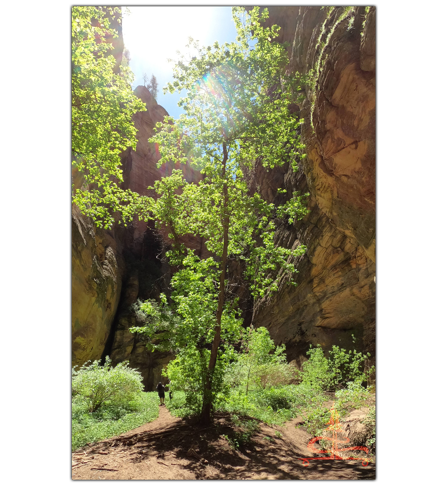 towering canyon walls