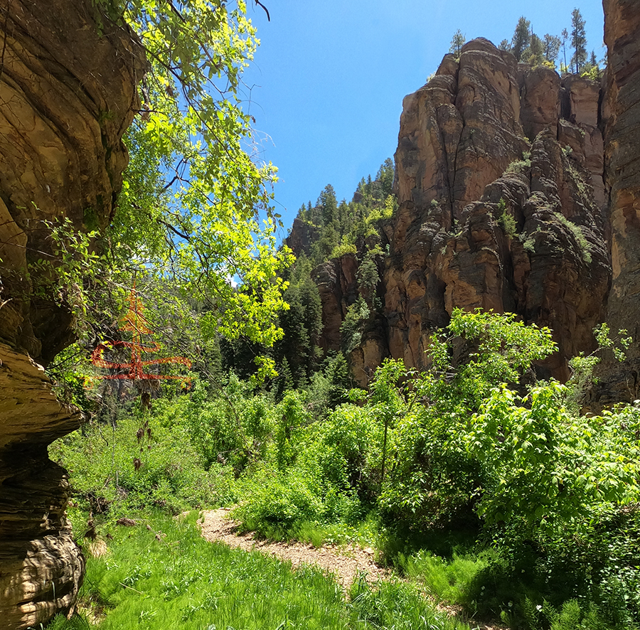 scenic trail while hiking point trail