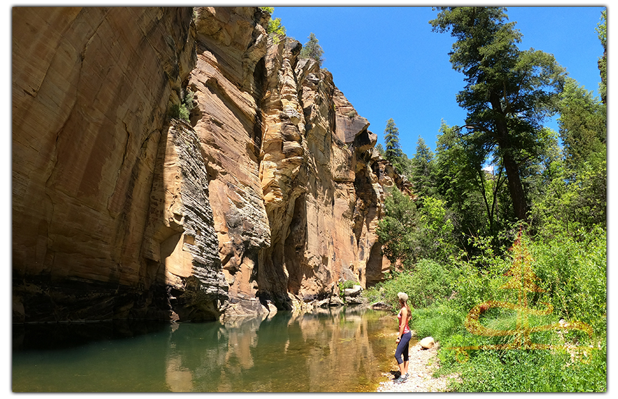 a pretty swimming hole we found while hiking point trail