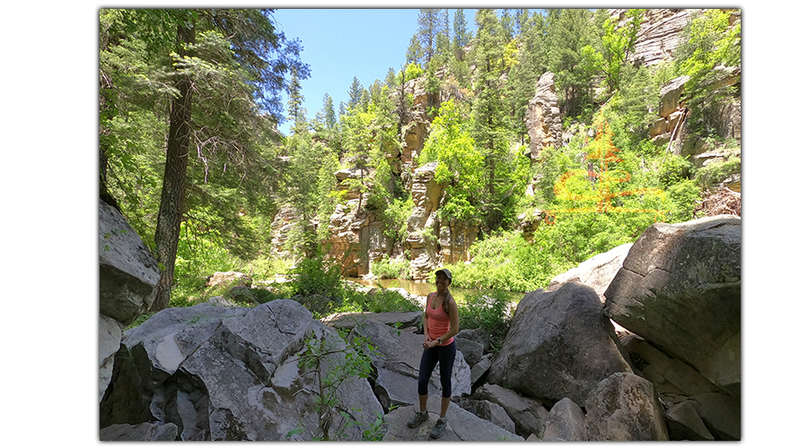 hiking point trail