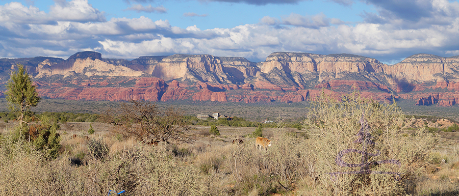 the view from our spot dispersed camping near sedona