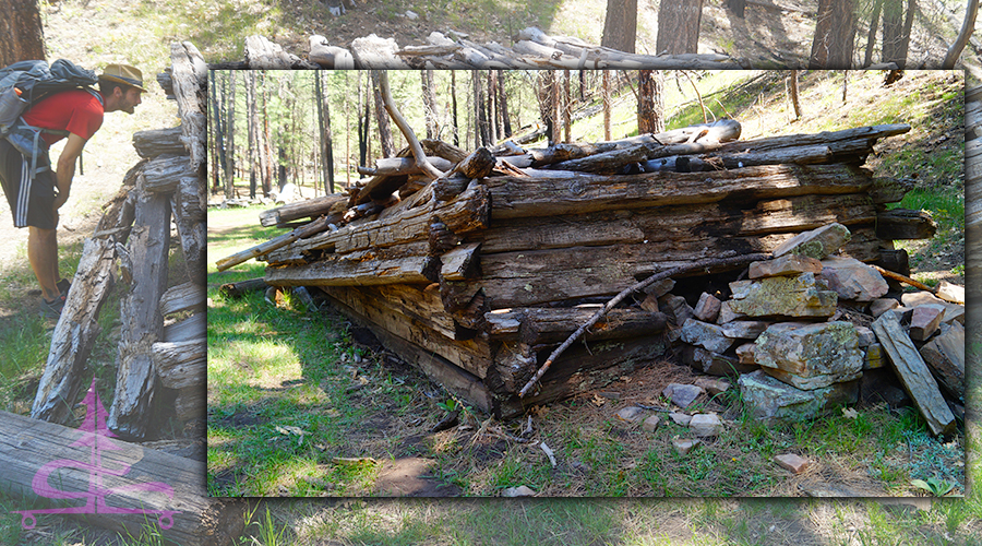 cool log cabin we found along the way