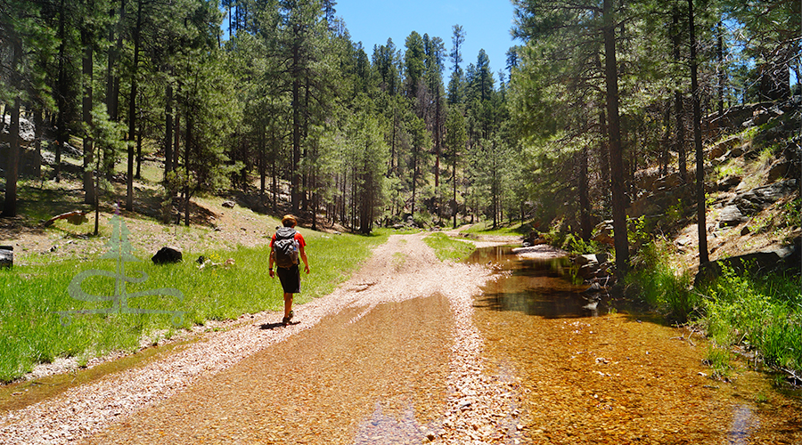hiking tom's creek in coconino national forest 