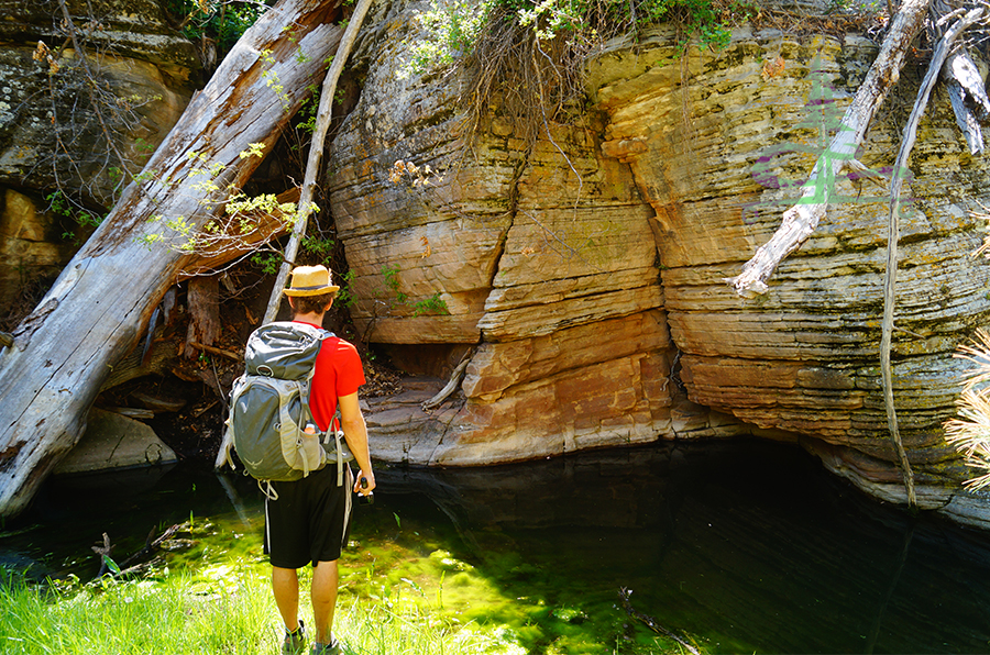 small pool and big rocks while hiking tom's creek