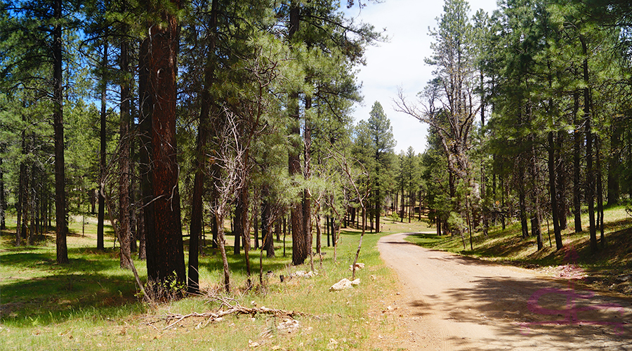 adventures near our spot camping near happy jack