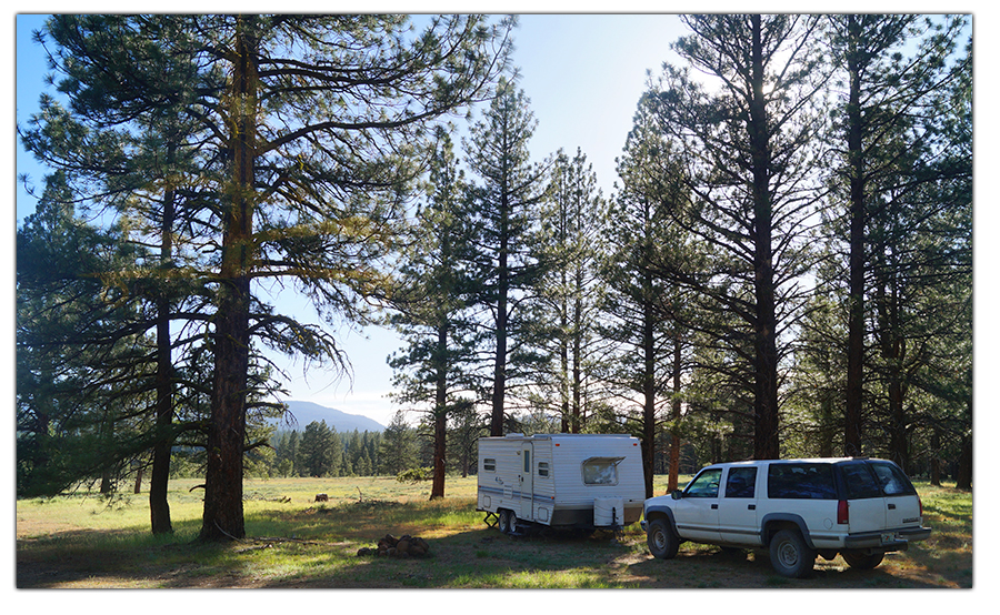 dispersed camping at kyburz flat among the conifers