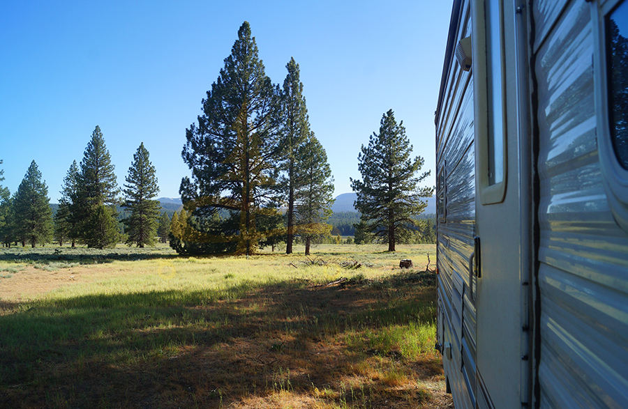 mix of meadow and woods from our camp spot in tahoe national forest