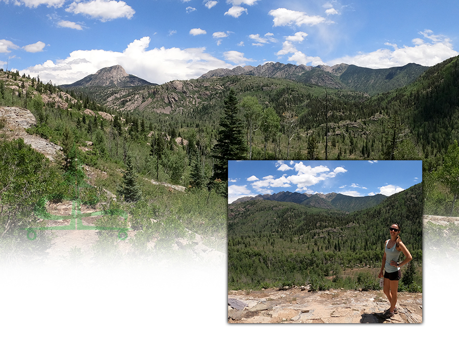 beautiful forested mountain scenery as we descended into the valley