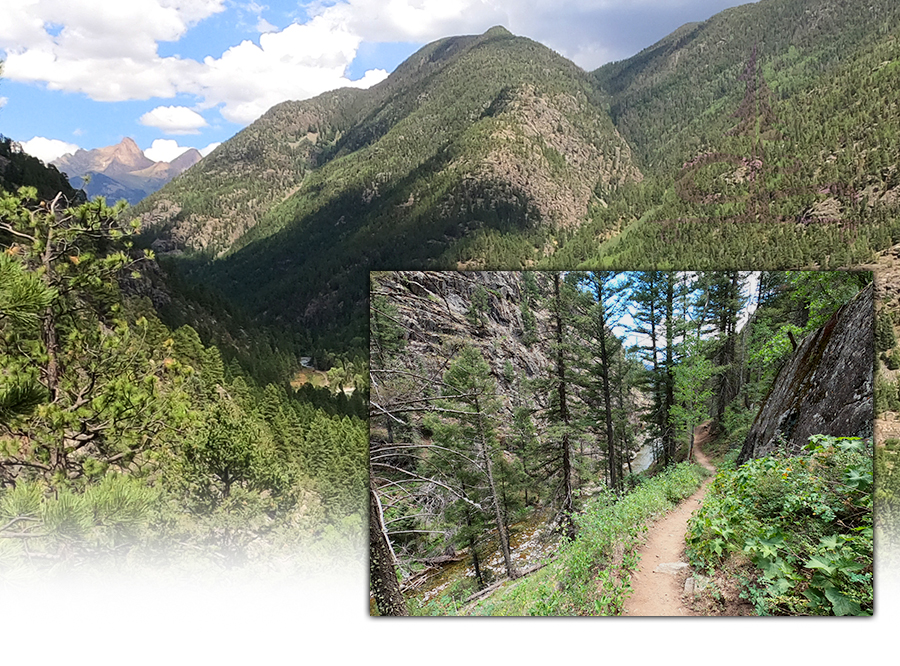 hiking through the canyon to the animas river