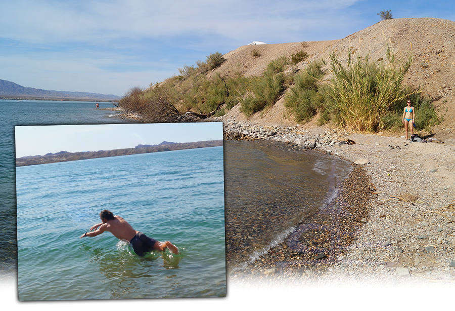 swimming in lake havasu