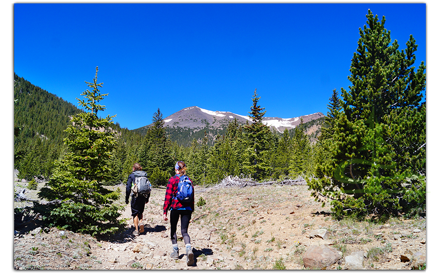 starting to gain elevation while hiking humphreys peak via inner basin trail