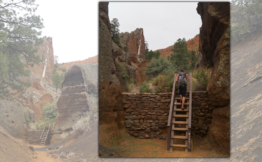 climbing the wooden ladder while hiking red mountain trail near flagstaff