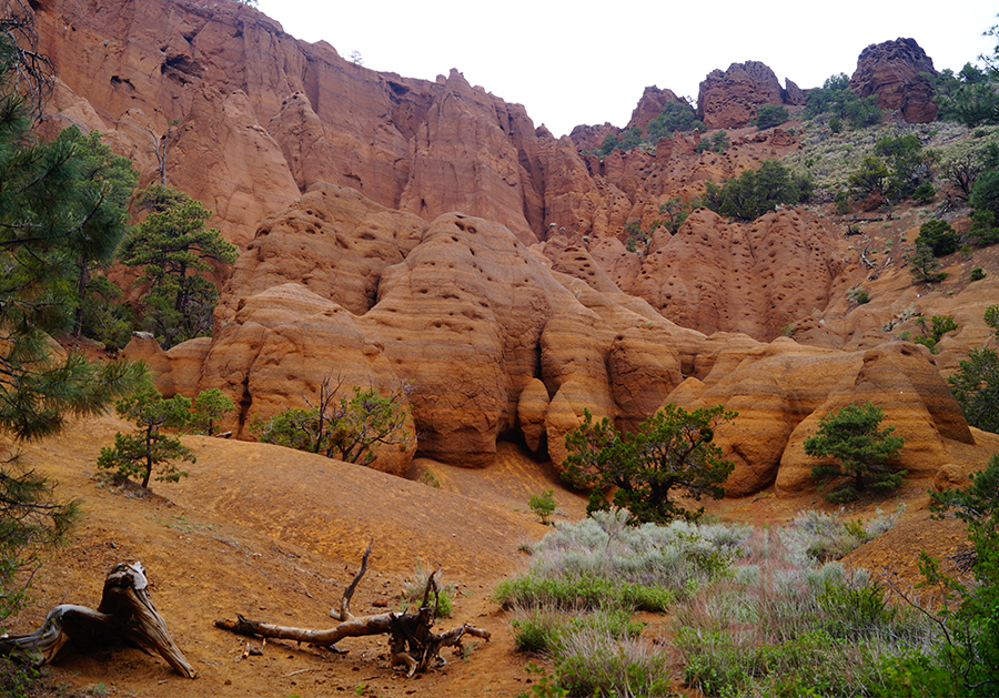 red rock hoodoos with a lot of bird nesting holes