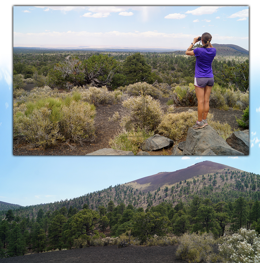 view of the painted desert from the overlook