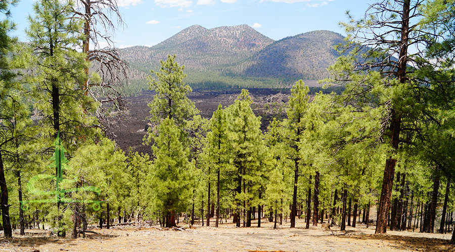 view of sunset crater