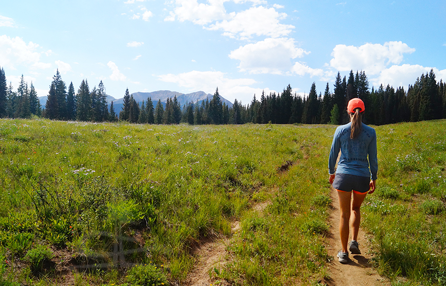hiking through the green meadow of wildflowers