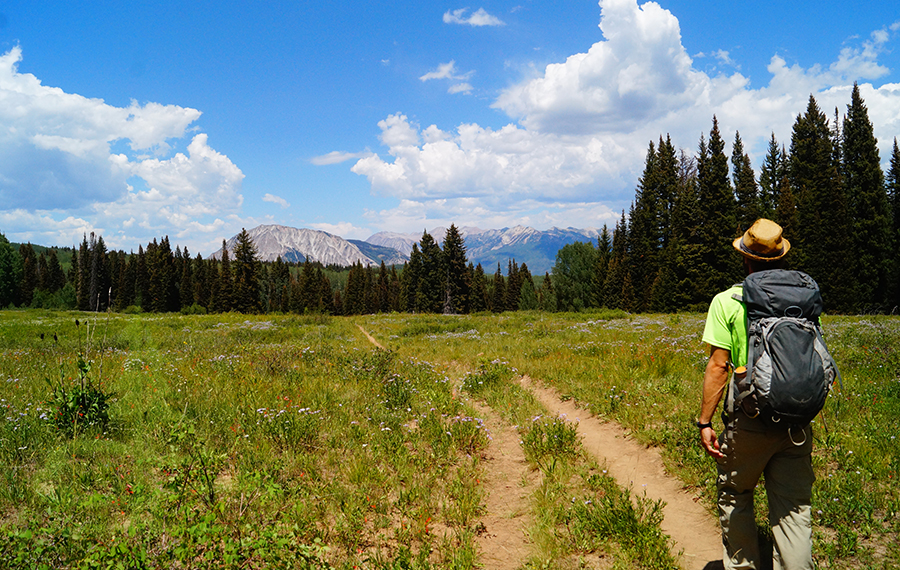 hiking beckwith pass trail