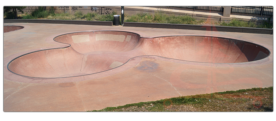 cool clover shaped bowl at the denver skatepark