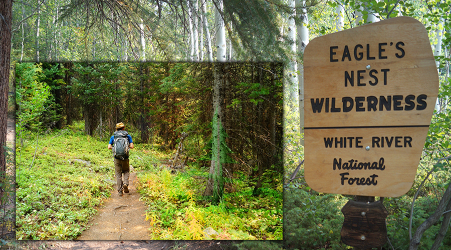 entering the woods of eagles nest wilderness