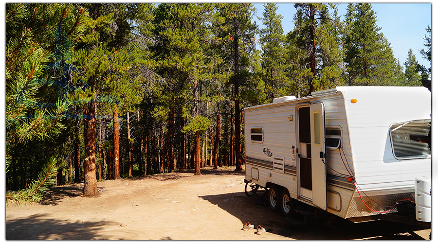 our camp spot in the woods 