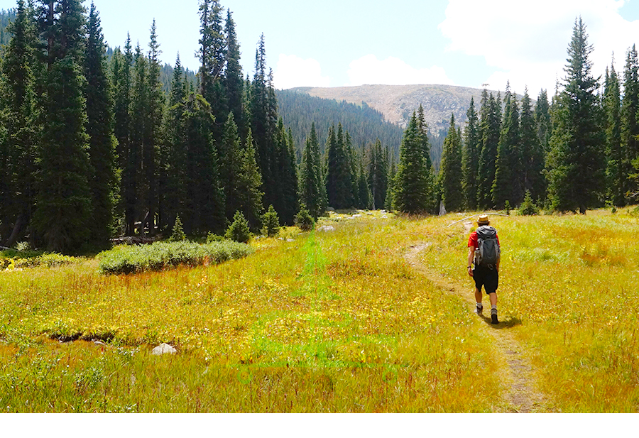 hiking to lonesome lake through a beautiful meadow