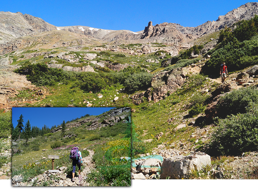 branching onto the trail to the summit of mount massive