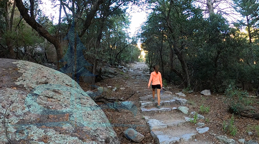 stairs at the beginning of the hike in chiricahua national park