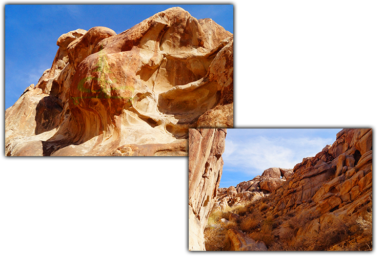 cool rocks in joshua tree national park