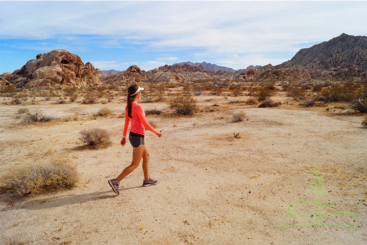 desert hiking in joshua tree national park 