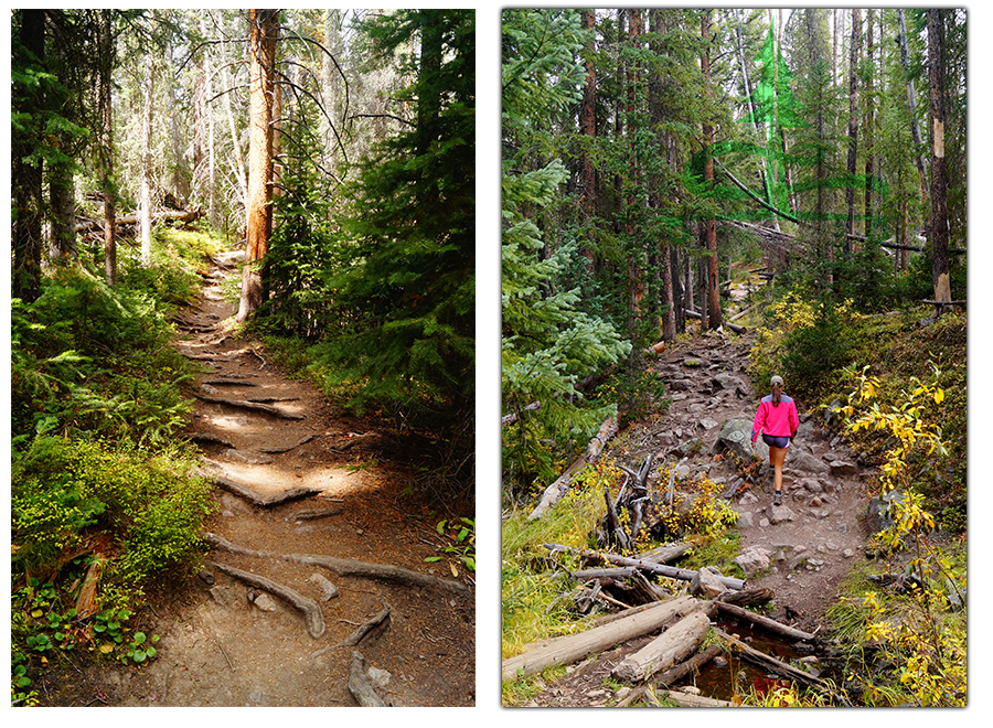 path in the woods hiking to boulder lake