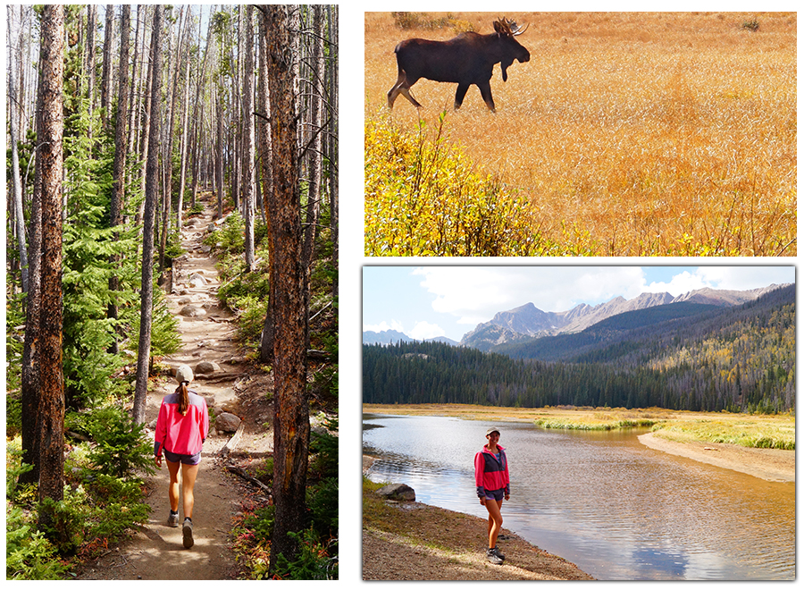 amazing scenery and wildlife while hiking to boulder lake