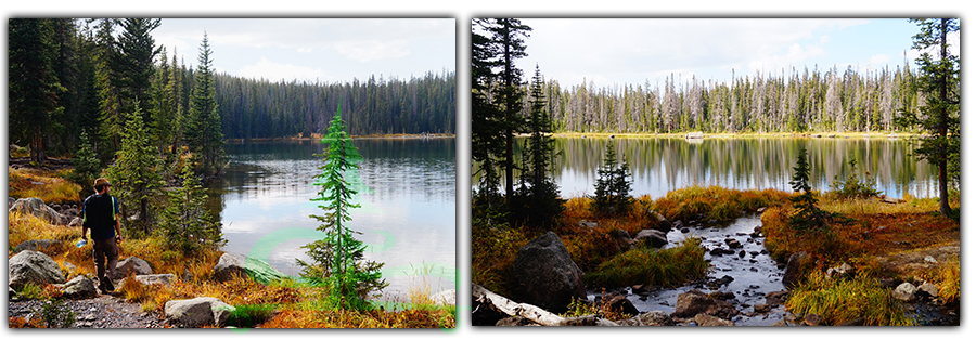 conifers lining cat lake on surprise lake trail