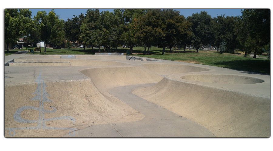 modesto skatepark snake run feature