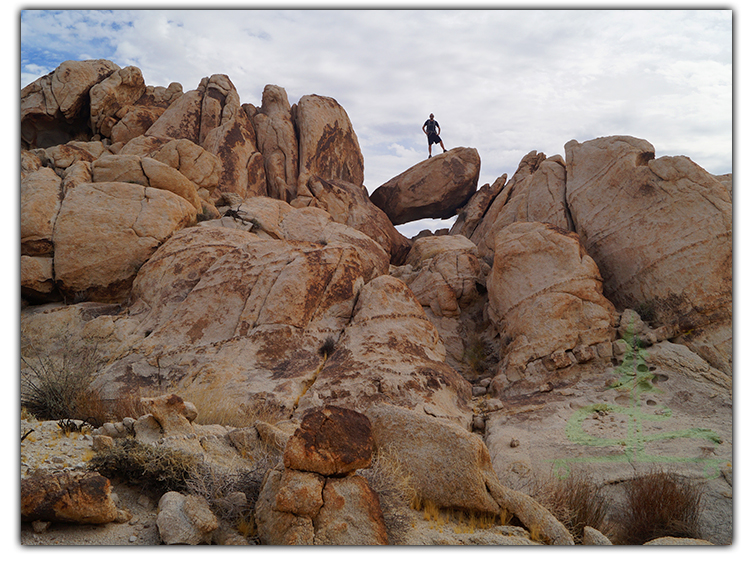 off the beaten path joshua tree national park