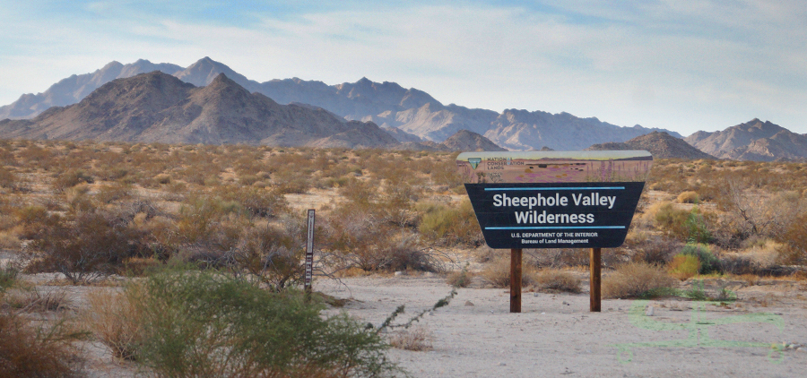 entrance for the dispersed camping in sheephole valley wilderness