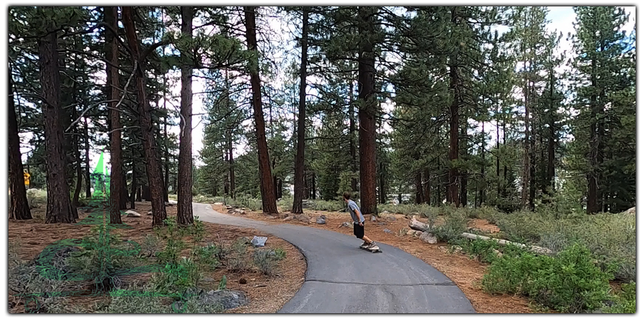 pumping through the woods on a longboard in mammoth lakes