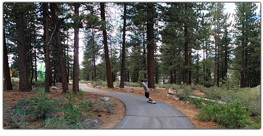 cruising through woods on a paved path