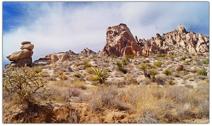 beautiful desert and boulders while hiking grapevine canyon 