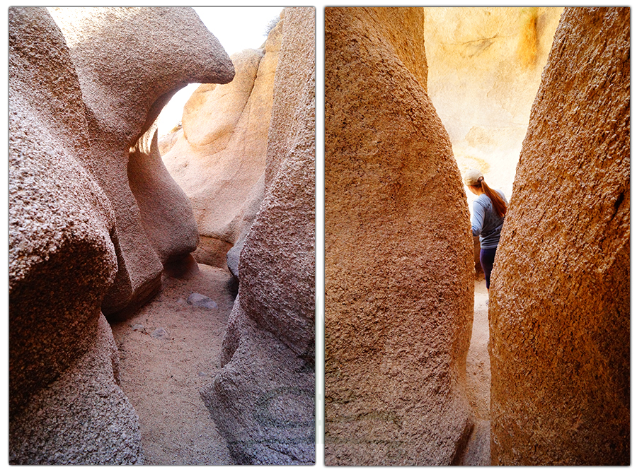 hiking grapevine canyon