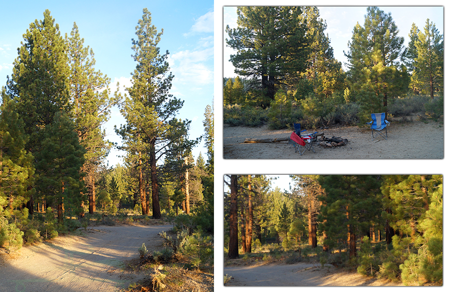 road into the woods for owens river road dispersed camping