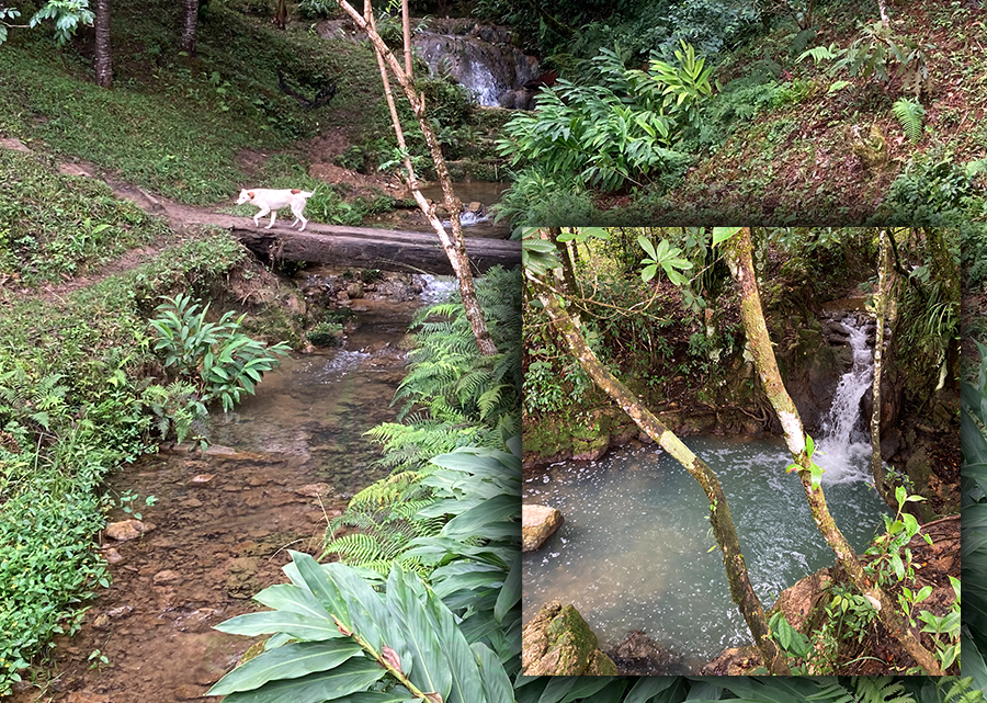 two waterfalls that we found in guatemala